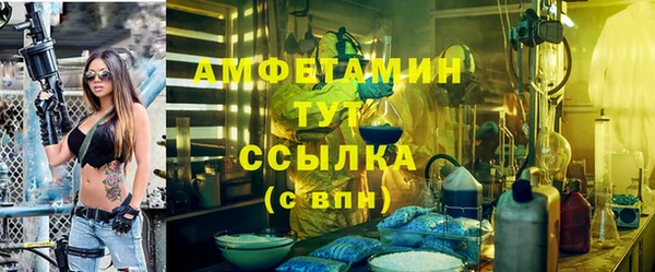 спиды Богданович