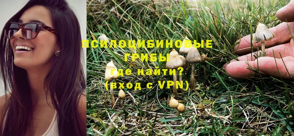 ALPHA PVP Бородино